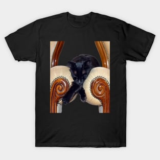 Black Cat Slouched Between Two Chairs Legs Crossed T-Shirt